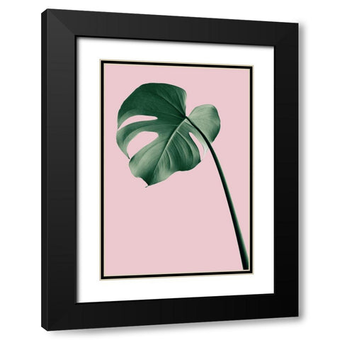 Monstera Pink No 05 Black Modern Wood Framed Art Print with Double Matting by 1x Studio III