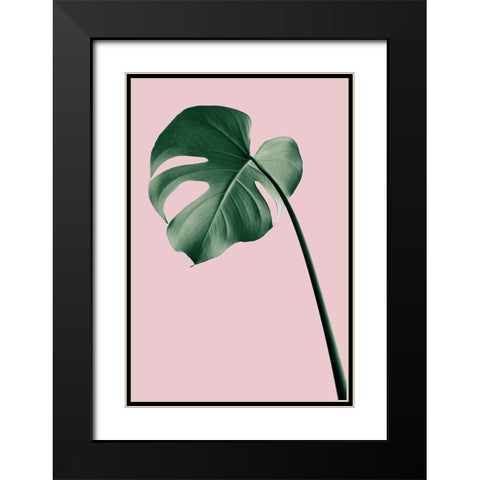 Monstera Pink No 05 Black Modern Wood Framed Art Print with Double Matting by 1x Studio III
