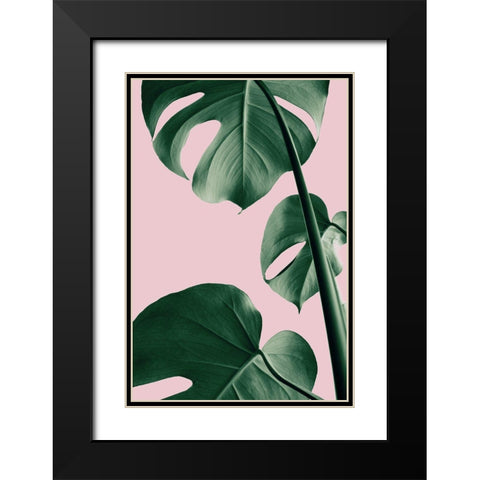 Monstera Pink No 06 Black Modern Wood Framed Art Print with Double Matting by 1x Studio III