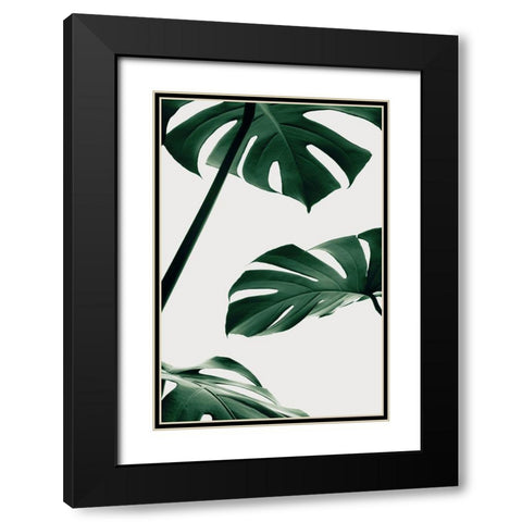 Monstera Natural 13 Black Modern Wood Framed Art Print with Double Matting by 1x Studio III