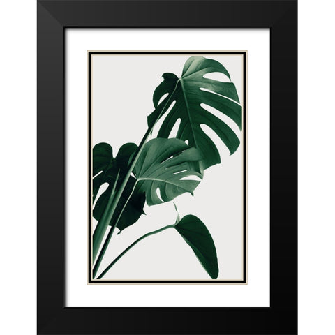 Monstera Natural 22 Black Modern Wood Framed Art Print with Double Matting by 1x Studio III