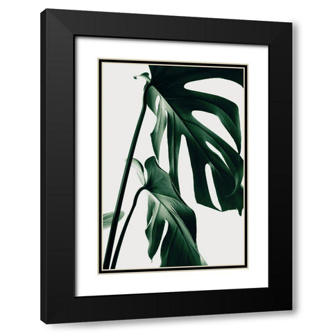 Monstera Natural 27 Black Modern Wood Framed Art Print with Double Matting by 1x Studio III
