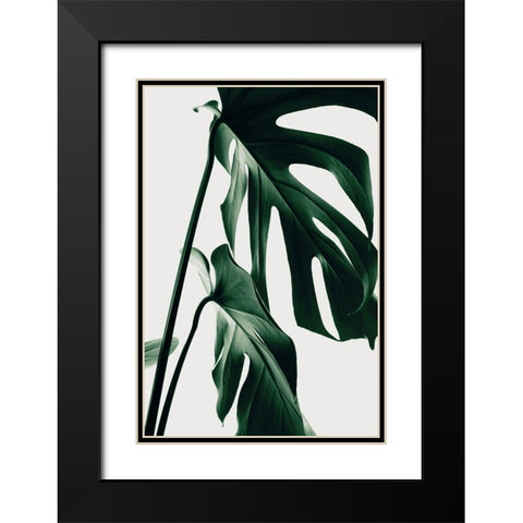 Monstera Natural 27 Black Modern Wood Framed Art Print with Double Matting by 1x Studio III
