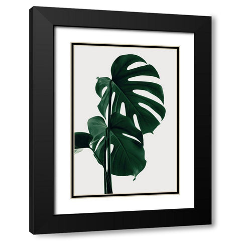 Monstera Natural 28 Black Modern Wood Framed Art Print with Double Matting by 1x Studio III