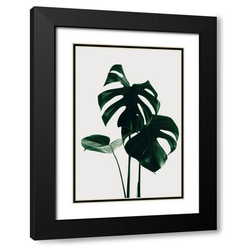 Monstera Natural 29 Black Modern Wood Framed Art Print with Double Matting by 1x Studio III