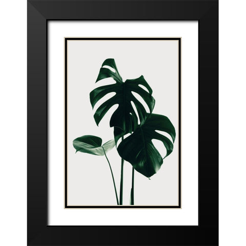 Monstera Natural 29 Black Modern Wood Framed Art Print with Double Matting by 1x Studio III