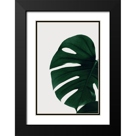 Monstera Natural 30 Black Modern Wood Framed Art Print with Double Matting by 1x Studio III