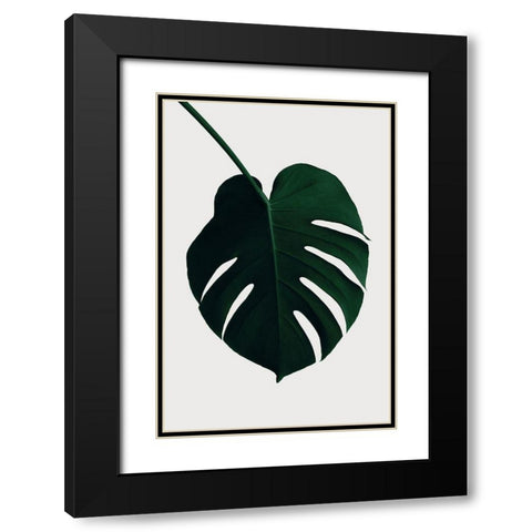 Monstera Natural 35 Black Modern Wood Framed Art Print with Double Matting by 1x Studio III