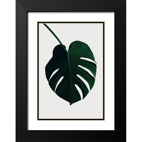 Monstera Natural 35 Black Modern Wood Framed Art Print with Double Matting by 1x Studio III