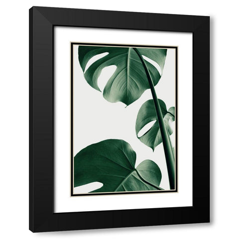 Monstera Natural 37 Black Modern Wood Framed Art Print with Double Matting by 1x Studio III