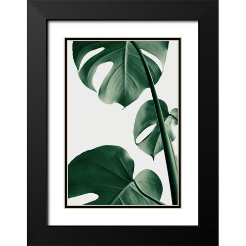 Monstera Natural 37 Black Modern Wood Framed Art Print with Double Matting by 1x Studio III