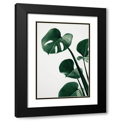 Monstera Natural 38 Black Modern Wood Framed Art Print with Double Matting by 1x Studio III