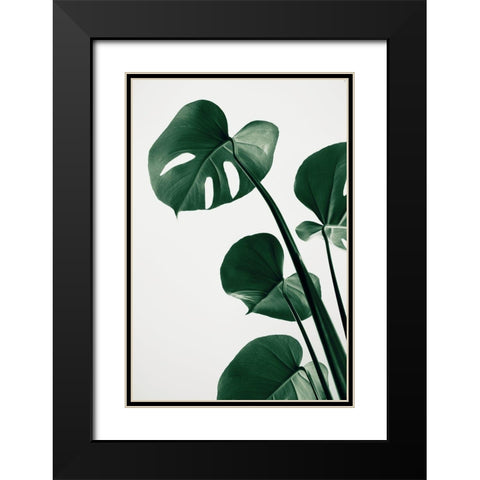 Monstera Natural 38 Black Modern Wood Framed Art Print with Double Matting by 1x Studio III