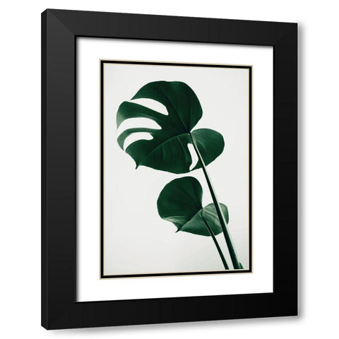 Monstera Natural 41 Black Modern Wood Framed Art Print with Double Matting by 1x Studio III