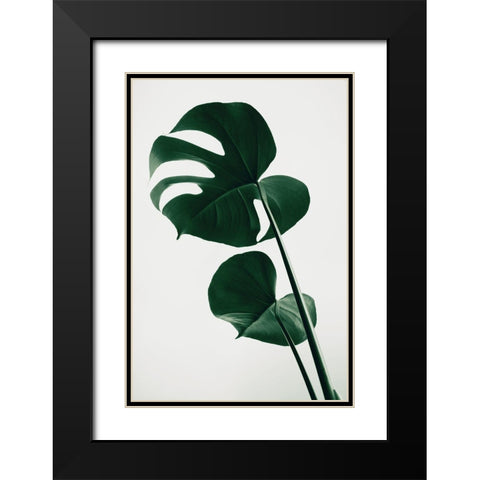 Monstera Natural 41 Black Modern Wood Framed Art Print with Double Matting by 1x Studio III