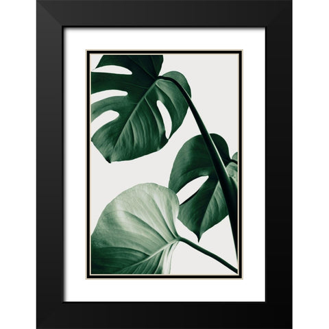 Monstera Natural 42 Black Modern Wood Framed Art Print with Double Matting by 1x Studio III