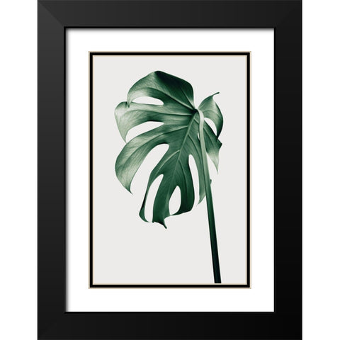 Monstera Natural 44 Black Modern Wood Framed Art Print with Double Matting by 1x Studio III