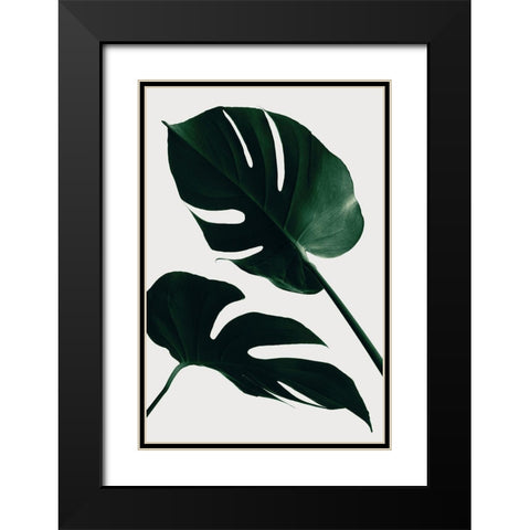 Monstera Natural 45 Black Modern Wood Framed Art Print with Double Matting by 1x Studio III