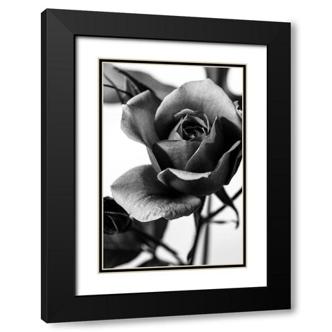 Let Me Know Black Modern Wood Framed Art Print with Double Matting by Stella, CYAN