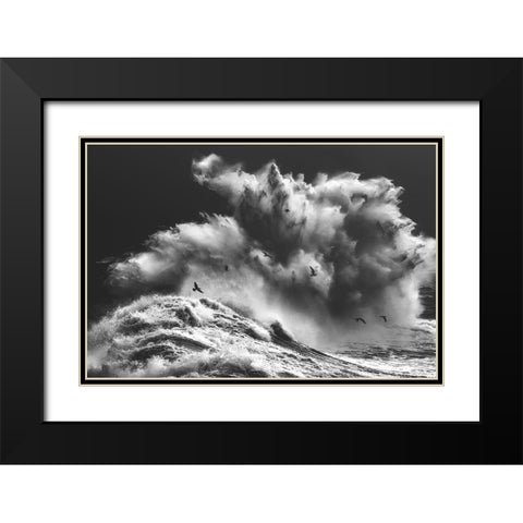 Birds In The Storm (Part 11) Black Modern Wood Framed Art Print with Double Matting by Lazzarotti, Paolo
