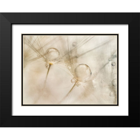 Watercolors Black Modern Wood Framed Art Print with Double Matting by Talen, Nel