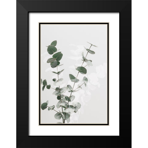 Eucalyptus Creative 02 Black Modern Wood Framed Art Print with Double Matting by 1x Studio III