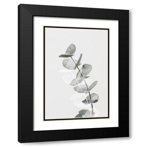 Eucalyptus Creative 05 Black Modern Wood Framed Art Print with Double Matting by 1x Studio III