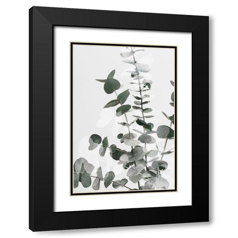 Eucalyptus Creative 06 Black Modern Wood Framed Art Print with Double Matting by 1x Studio III