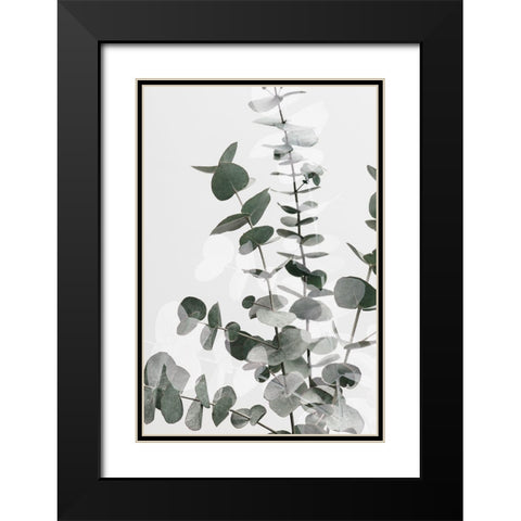 Eucalyptus Creative 06 Black Modern Wood Framed Art Print with Double Matting by 1x Studio III