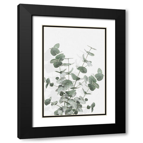 Eucalyptus Creative 16 Black Modern Wood Framed Art Print with Double Matting by 1x Studio III