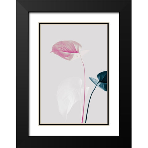 Monstera Creative 24 Black Modern Wood Framed Art Print with Double Matting by 1x Studio III