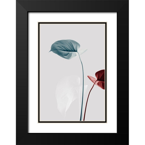 Monstera Creative 23 Black Modern Wood Framed Art Print with Double Matting by 1x Studio III