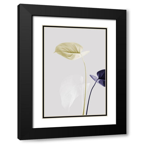Monstera Creative 23 Black Modern Wood Framed Art Print with Double Matting by 1x Studio III