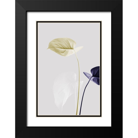 Monstera Creative 23 Black Modern Wood Framed Art Print with Double Matting by 1x Studio III