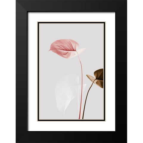 Monstera Creative 21 Black Modern Wood Framed Art Print with Double Matting by 1x Studio III