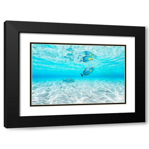 Blue Lagoon Black Modern Wood Framed Art Print with Double Matting by Gabriel, Barathieu