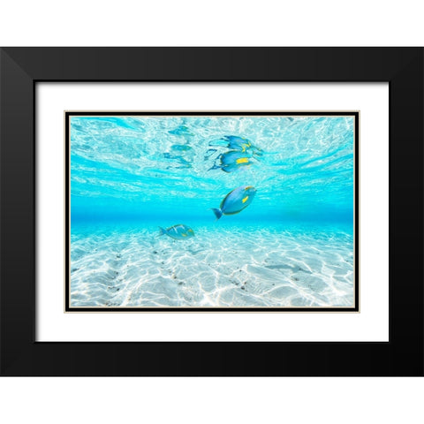 Blue Lagoon Black Modern Wood Framed Art Print with Double Matting by Gabriel, Barathieu