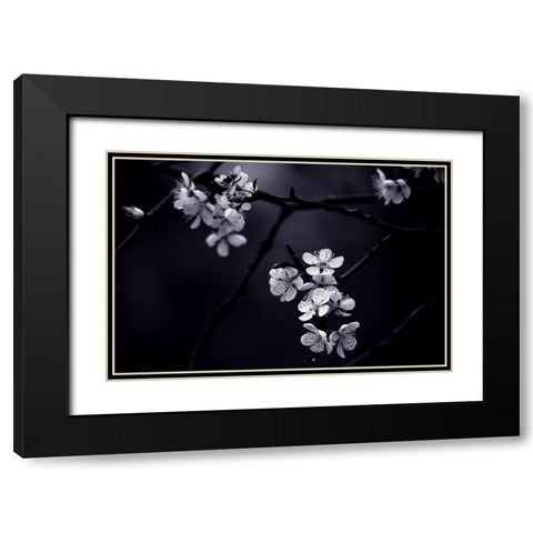 Qpetite Fleur De Mes Nuitsq Black Modern Wood Framed Art Print with Double Matting by CelineM