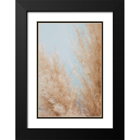 Pampas Close 01 Black Modern Wood Framed Art Print with Double Matting by 1x Studio III