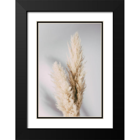 Pampas Grass Grey Black Modern Wood Framed Art Print with Double Matting by 1x Studio III