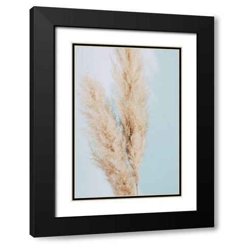Pampas Grass Blue 02 Black Modern Wood Framed Art Print with Double Matting by 1x Studio III