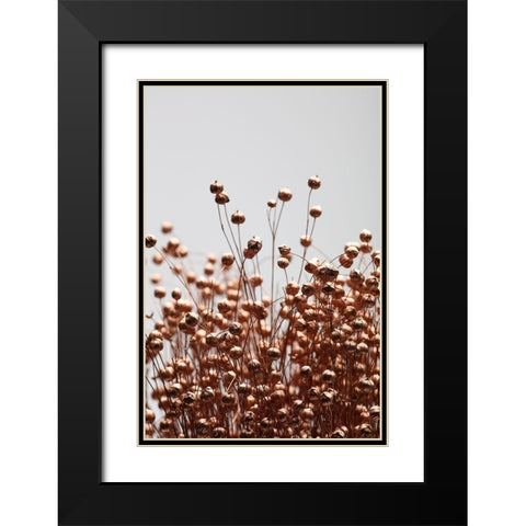 Dried Grass Copper 01 Black Modern Wood Framed Art Print with Double Matting by 1x Studio III