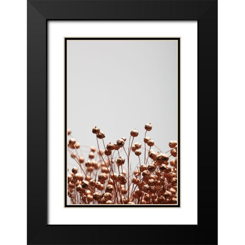 Dried Grass Copper 03 Black Modern Wood Framed Art Print with Double Matting by 1x Studio III
