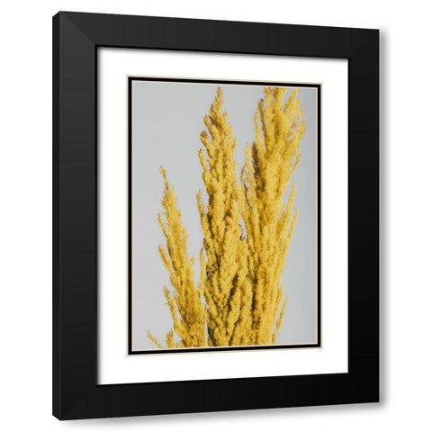 Yellow Grass Close Black Modern Wood Framed Art Print with Double Matting by 1x Studio III