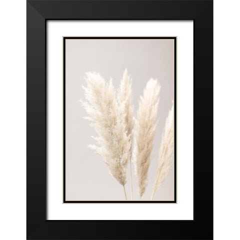 Pampas Grass Grey 02 Black Modern Wood Framed Art Print with Double Matting by 1x Studio III