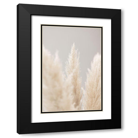 Pampas Grass Grey 04 Black Modern Wood Framed Art Print with Double Matting by 1x Studio III