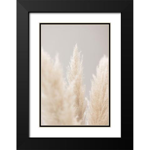Pampas Grass Grey 04 Black Modern Wood Framed Art Print with Double Matting by 1x Studio III