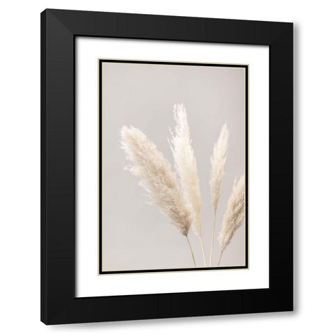 Pampas Grass Grey 06 Black Modern Wood Framed Art Print with Double Matting by 1x Studio III