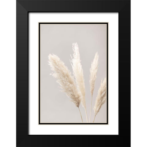 Pampas Grass Grey 06 Black Modern Wood Framed Art Print with Double Matting by 1x Studio III