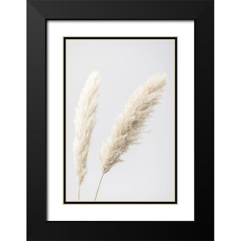 Pampas Grass Grey 12 Black Modern Wood Framed Art Print with Double Matting by 1x Studio III